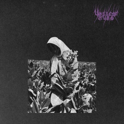 Yellow Eyes : Master's Murmur Yellow Eyes : Master's Murmur